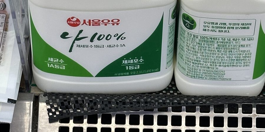 Milk (2.3L Jug) Price in Korea 2026: ₩8,000 at Food-supply mart