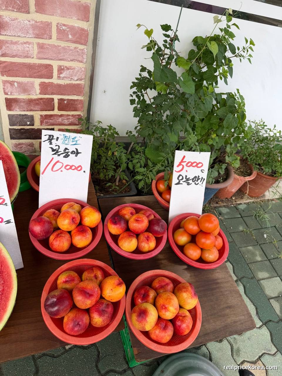 Nectarines (천도복숭아, smooth-skin peach), 7 pieces in a stall bowl